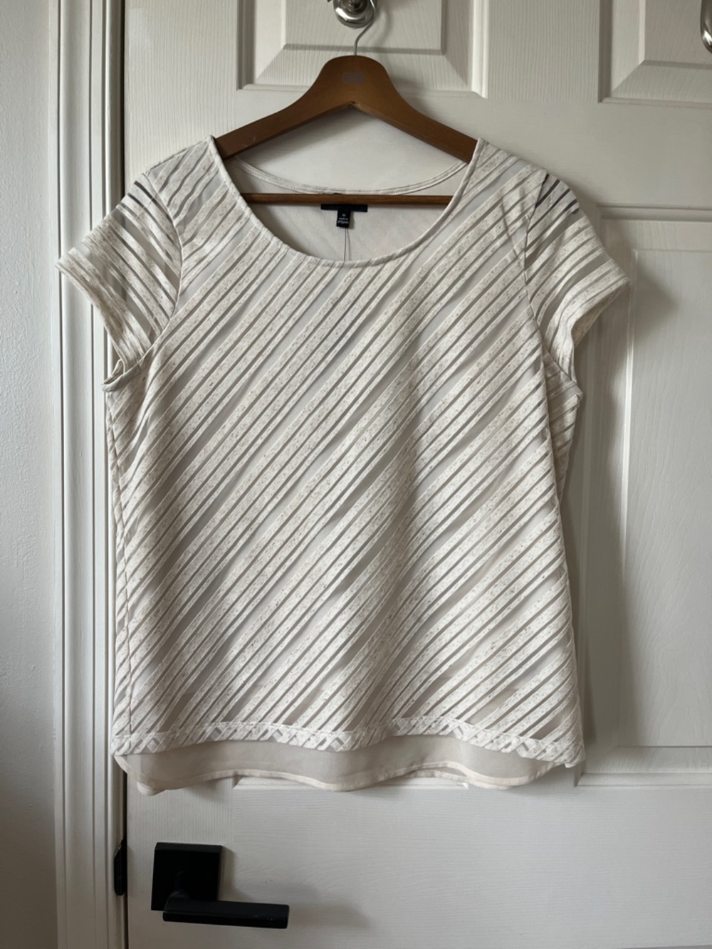 The Limited • Sheer Layered Blouse Top • Ladies' Size Medium M